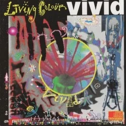 Vivid Vivid