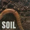 SOiL