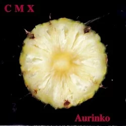 Aurinko