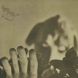 Fingerprince Fingerprince