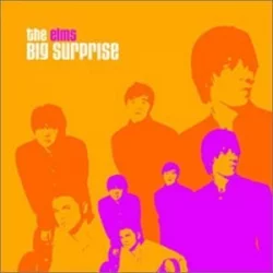 Big Surprise