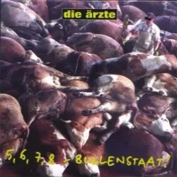 5, 6, 7, 8 - Bullenstaat!