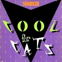 Cool for Cats Cool for Cats