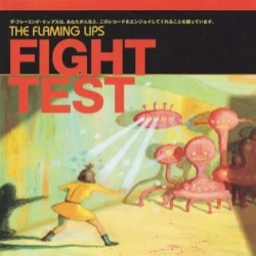 Fight Test