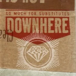 So Much for Substitutes So Much for Substitutes