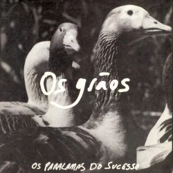 Os grãos