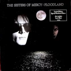 Floodland