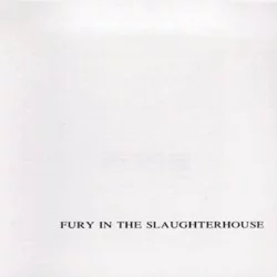 Fury in the Slaughterhouse