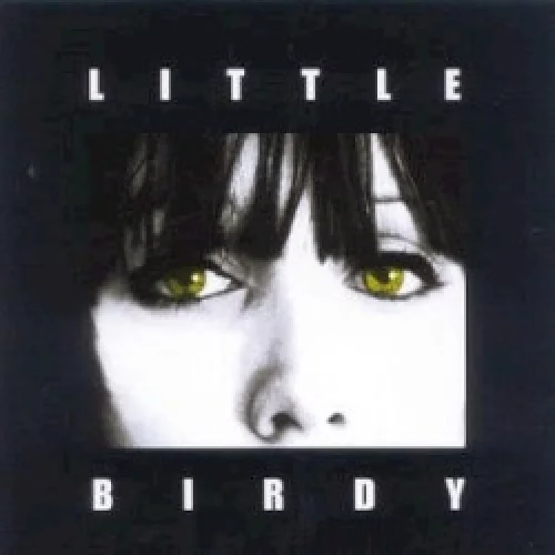 Little Birdy