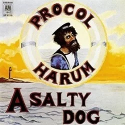 A Salty Dog A Salty Dog