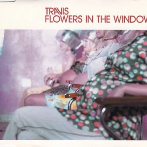 Flowers in the Window