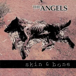 Skin & Bone Skin & Bone