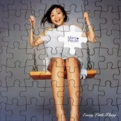 Many Pieces Many Pieces