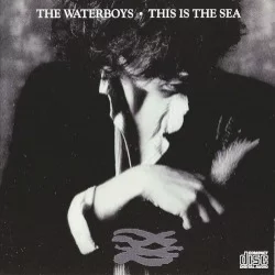 This Is the Sea