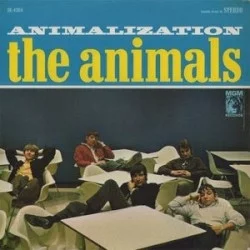 Animalization Animalization