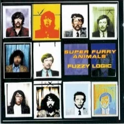 Fuzzy Logic