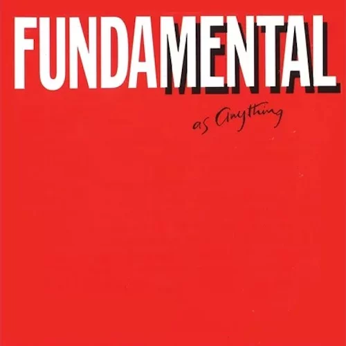 Fundamental as Anything