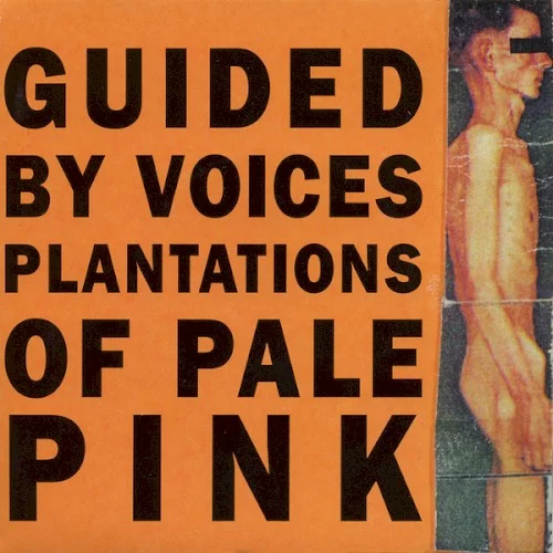 Plantations of Pale Pink