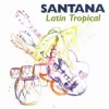 Latin Tropical
