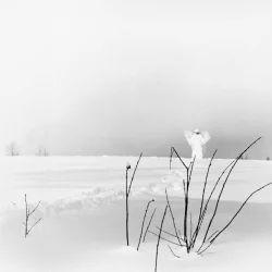 In frostigen Tälern In frostigen Tälern