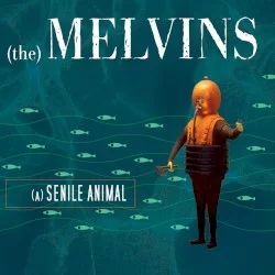(A) Senile Animal (A) Senile Animal