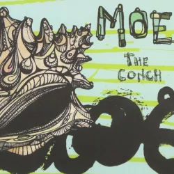 The Conch The Conch