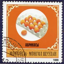 Абрикосы