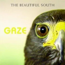 Gaze Gaze