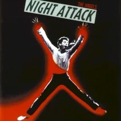 Night Attack Night Attack