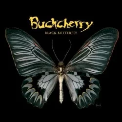 Black Butterfly