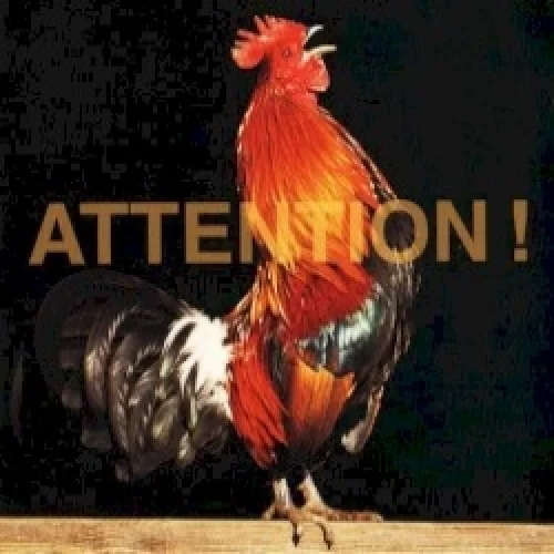 Attention!