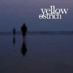 Yellow Ostrich Yellow Ostrich