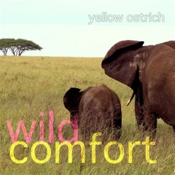 Wild Comfort Wild Comfort