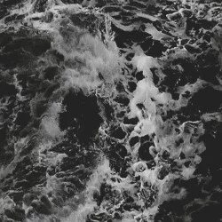 Tempestarii + DISintegration