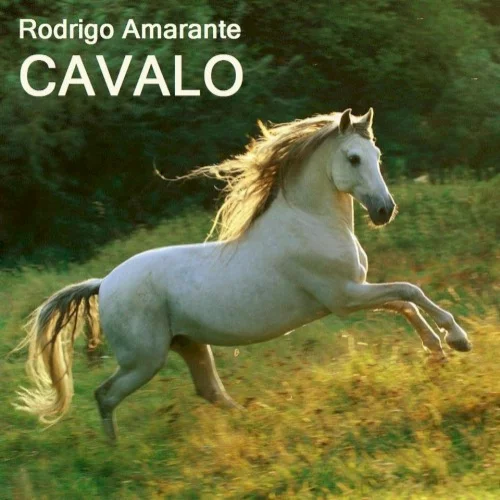 Cavalo