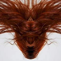A Collection of Hair