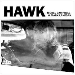 Hawk Hawk