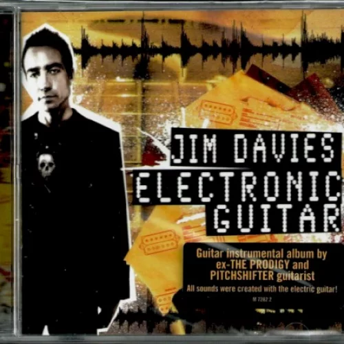 Electronic Guitar