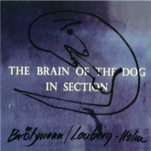 The Brain of the Dog in Section