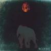 Moon Circle