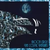The Cosmic Penguins The Cosmic Penguins