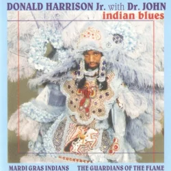 Indian Blues Indian Blues