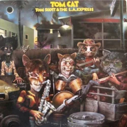 Tom Cat Tom Cat