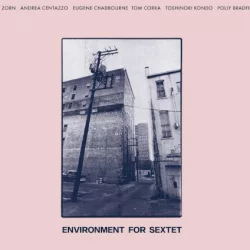 Environment For Sextet Environment For Sextet