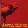 Jesse Sykes & The Sweet Hereafter / Steve Turner