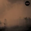 Dust