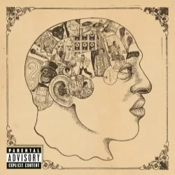 Phrenology Phrenology
