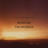 Show Me the Wonder