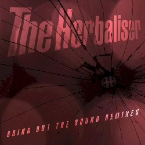 Bring Out the Sound Remixes