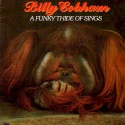 A Funky Thide of Sings